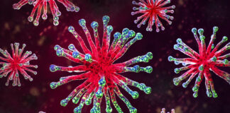 Вирусолог Малинникова: COVID-19 сохраняет активность