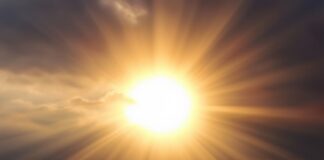 Завтра в Украине резкое потепление: в каких областях будет теплее всего