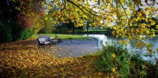 Синоптик рассказала, в каких областях Украины в выходные будет прохладней всего и где пройдут дожди