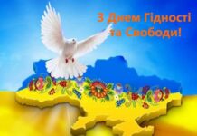 В Украине отмечают День Достоинства и Свободы: память о цене независимости и «сути украинской нации»