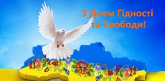 В Украине отмечают День Достоинства и Свободы: память о цене независимости и «сути украинской нации»