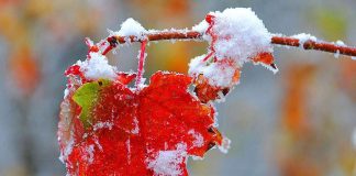 В Украине ударят двузначные морозы: когда ждать резкой смены погоды и где будет холоднее всего