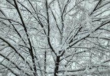 Арктический воздух не отступит: морозы до –20 окутают Украину надолго