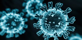 ВОЗ: 6% людей всё ещё борются с последствиями COVID