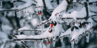 Теплый циклон уступит борьбу холодному антициклону: украинцев предупредили о сильных морозах