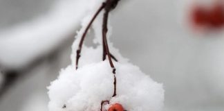 Украину ждет еще одна морозная неделя: в каких областях будет холоднее всего и где пройдет снег