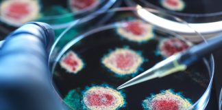 Онищенко: спад заболеваемости ОРВИ и коронавирусом начнётся в марте-апреле