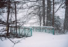 Метели, дожди, а местами до -20: украинцев ждет непростая погода на неделе