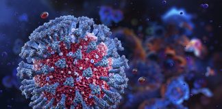 Роспотребнадзор: вариант XFG доминирует среди штаммов COVID-19